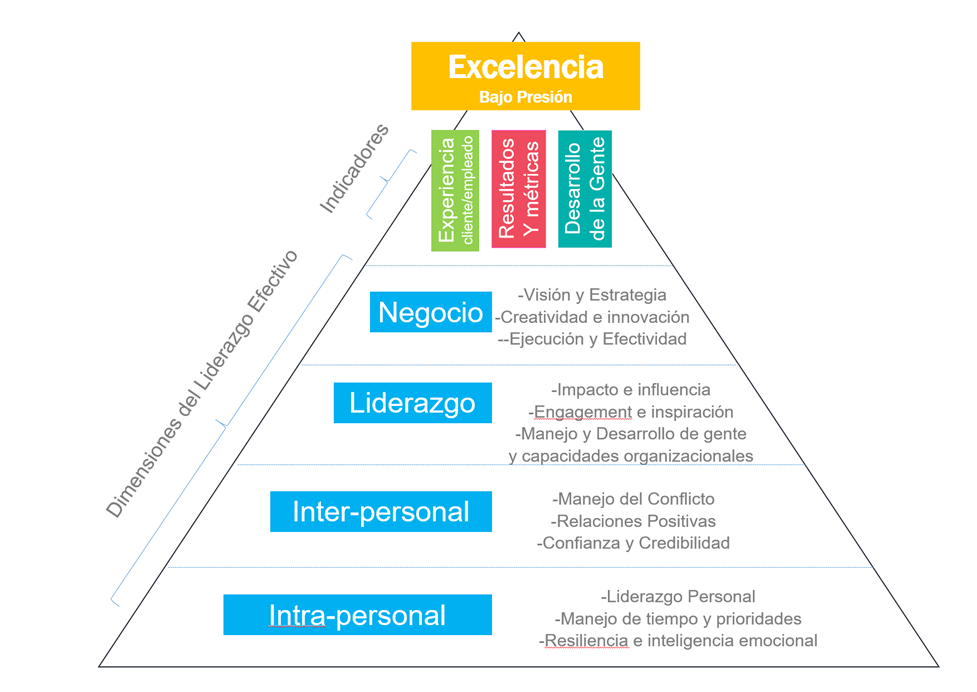 dominios-del-liderazgo